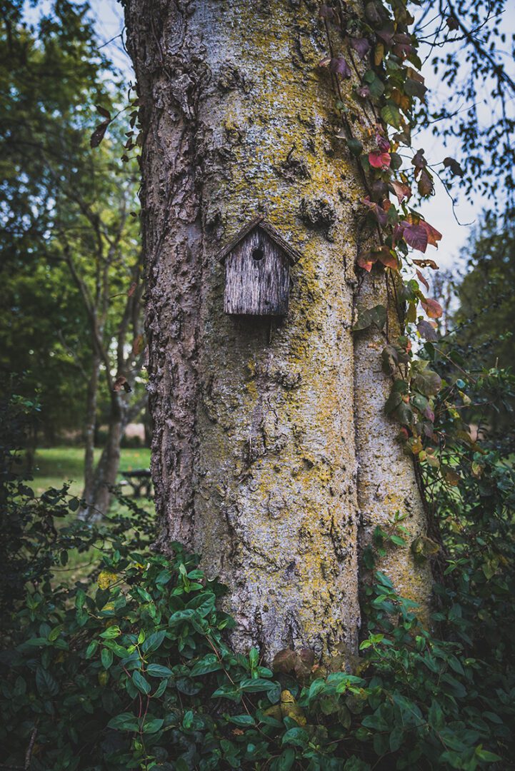 a birdhouse on a tree